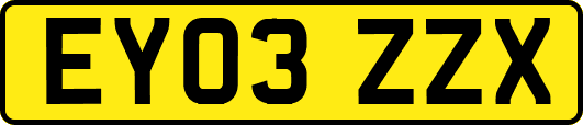 EY03ZZX