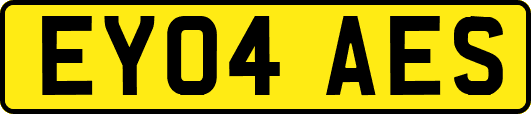 EY04AES