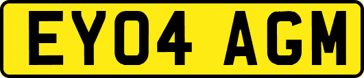 EY04AGM