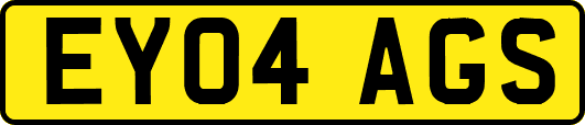 EY04AGS