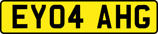 EY04AHG