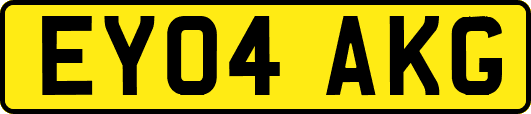 EY04AKG
