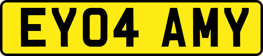 EY04AMY