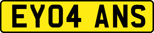EY04ANS