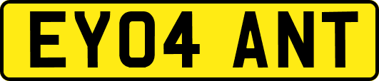 EY04ANT