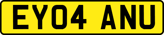 EY04ANU