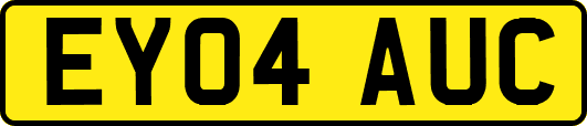 EY04AUC