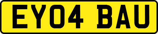 EY04BAU