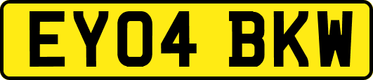 EY04BKW