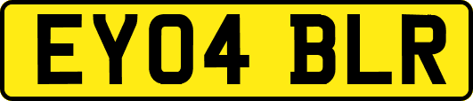 EY04BLR