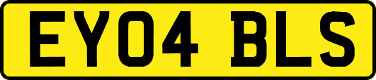 EY04BLS