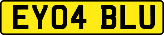 EY04BLU