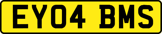 EY04BMS