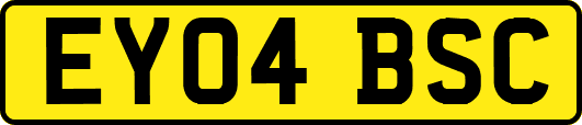 EY04BSC