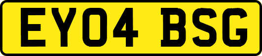 EY04BSG
