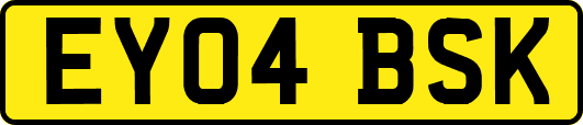 EY04BSK