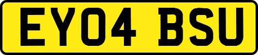 EY04BSU