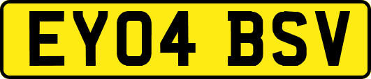 EY04BSV