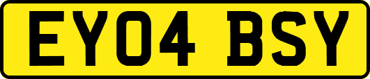 EY04BSY