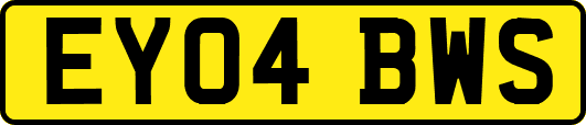 EY04BWS
