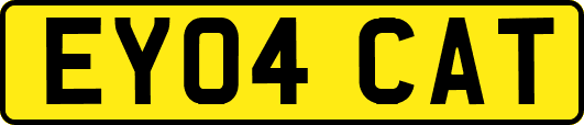 EY04CAT