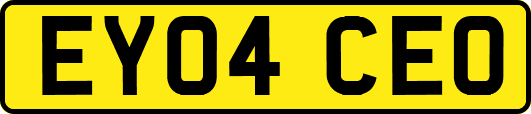 EY04CEO