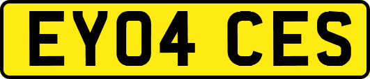 EY04CES