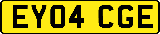 EY04CGE