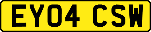 EY04CSW