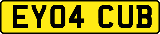 EY04CUB