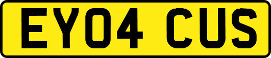 EY04CUS