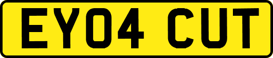 EY04CUT