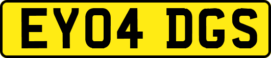 EY04DGS