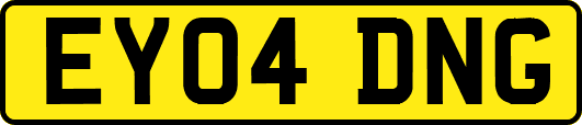 EY04DNG