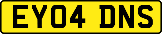 EY04DNS