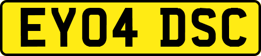 EY04DSC