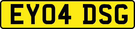 EY04DSG