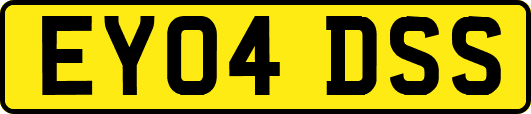 EY04DSS