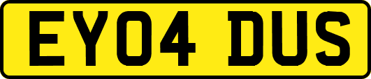 EY04DUS