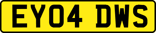 EY04DWS
