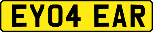 EY04EAR