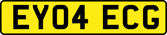 EY04ECG
