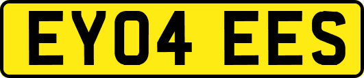 EY04EES