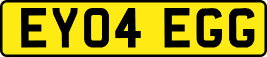 EY04EGG