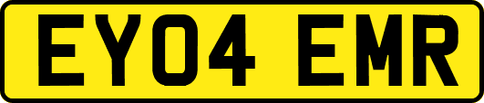 EY04EMR