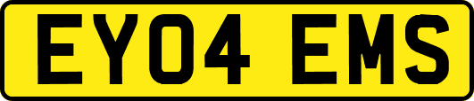 EY04EMS