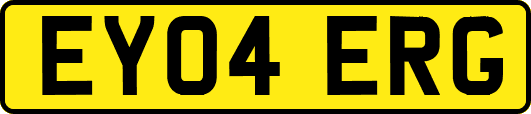 EY04ERG