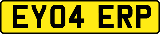 EY04ERP