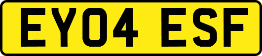 EY04ESF