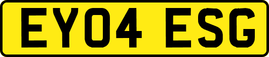 EY04ESG
